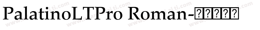 PalatinoLTPro Roman字体转换